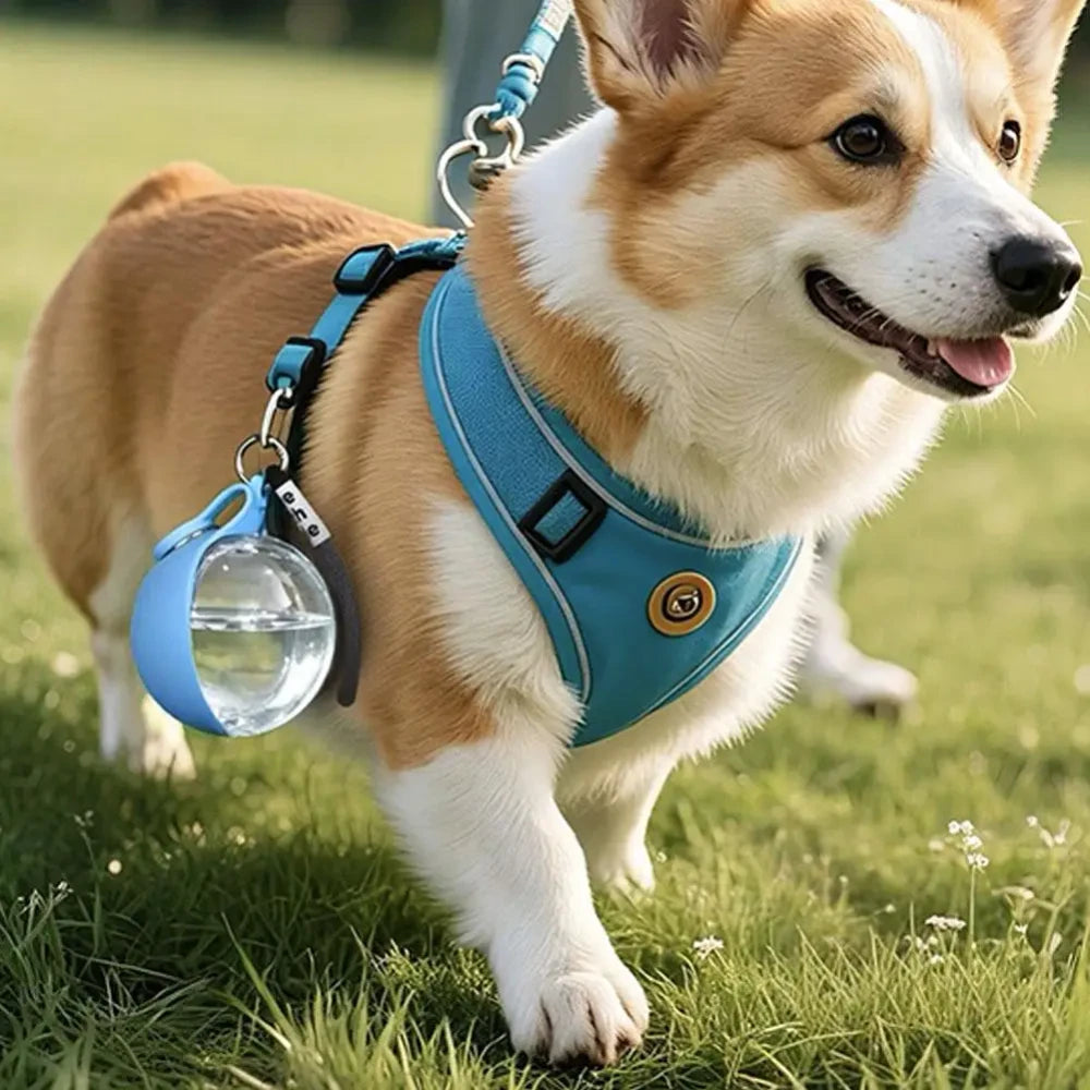 Borraccia Per Cani Con Ciotola In Silicone